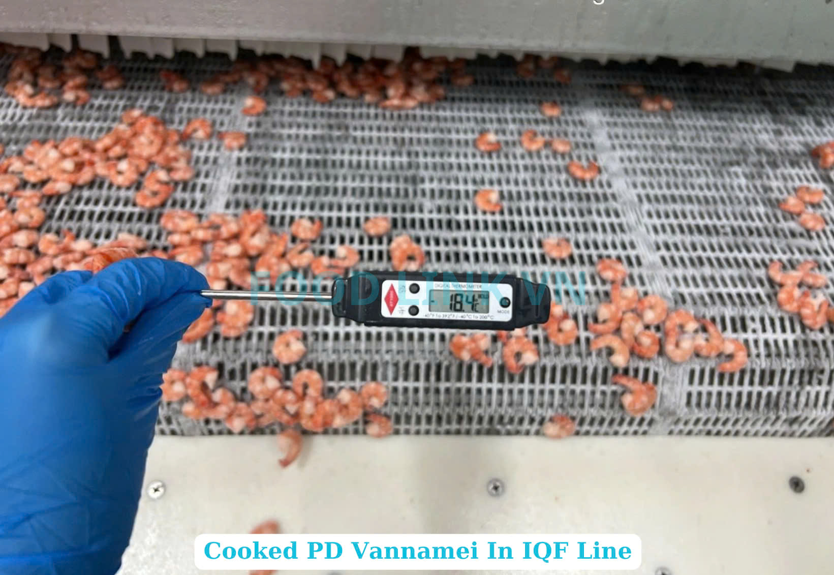 Frozen Cooked PD Vannamei Shrimp