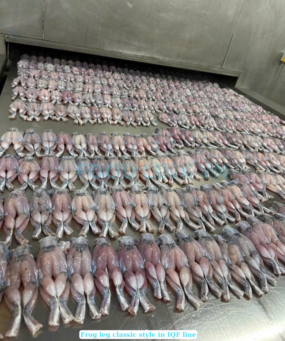 Frozen Frog Legs Classic Style