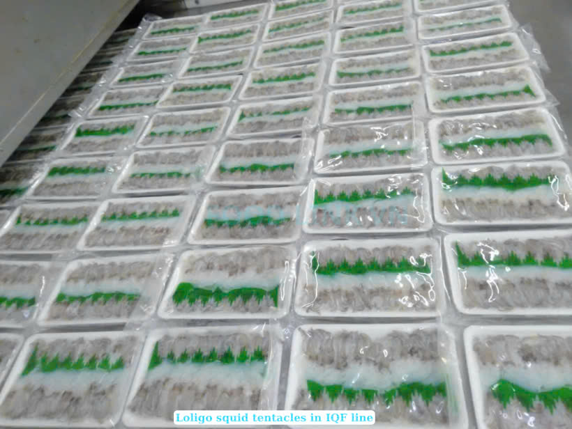 Frozen Loligo Squid Tentacles Sushi