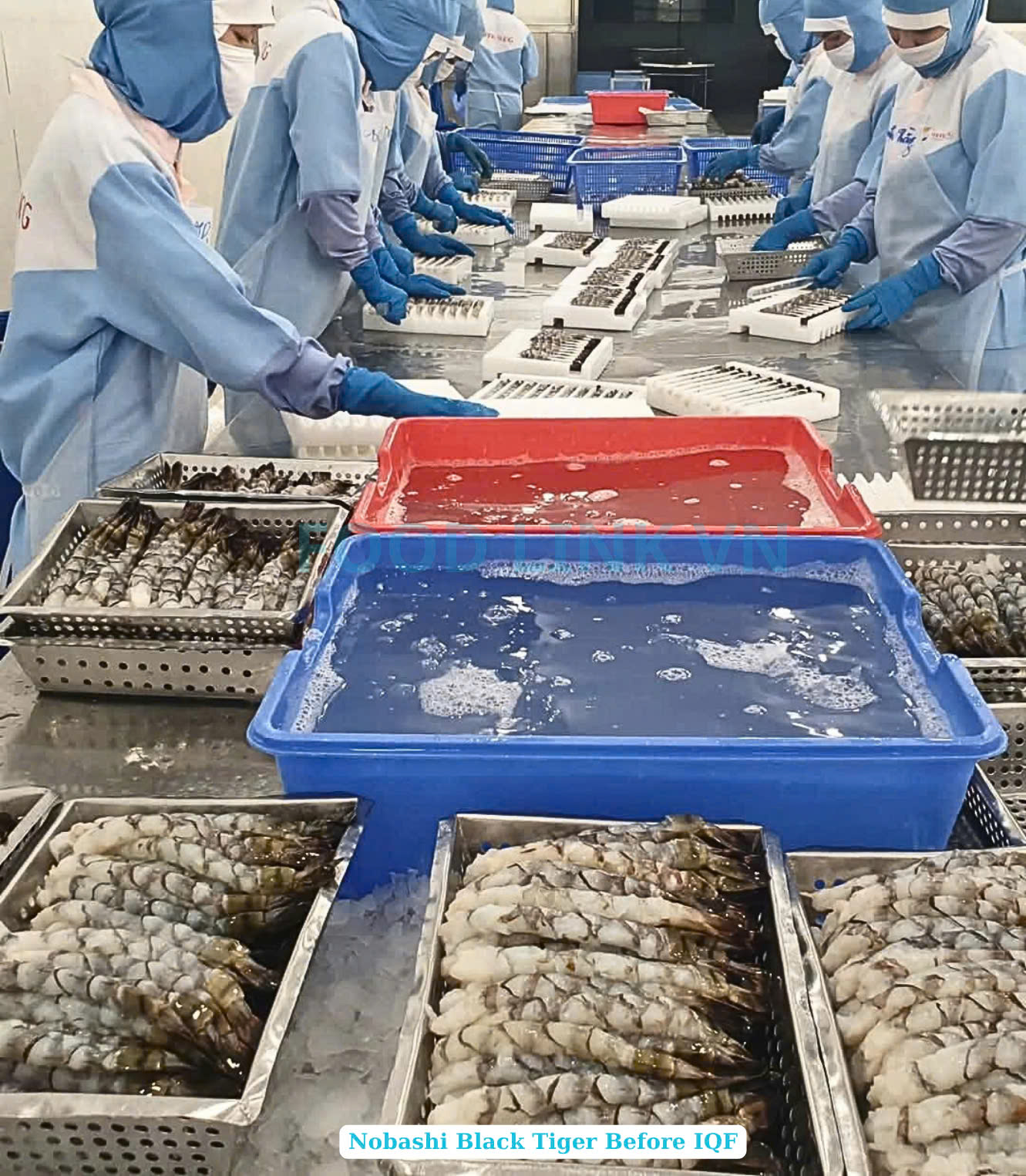 Frozen Nobashi Black Tiger Shrimp