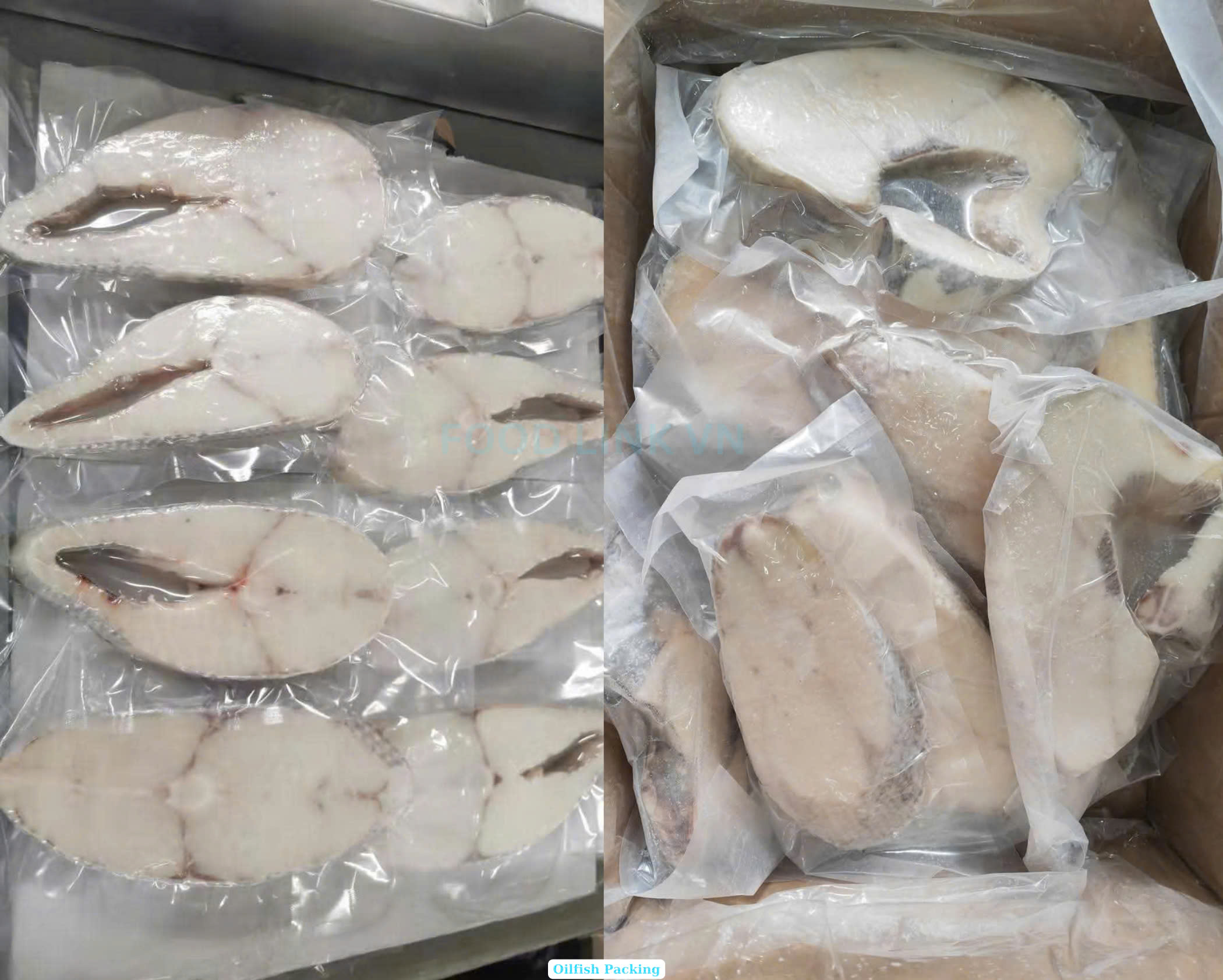 Frozen Oil Fish Steak Skin On And Skinless