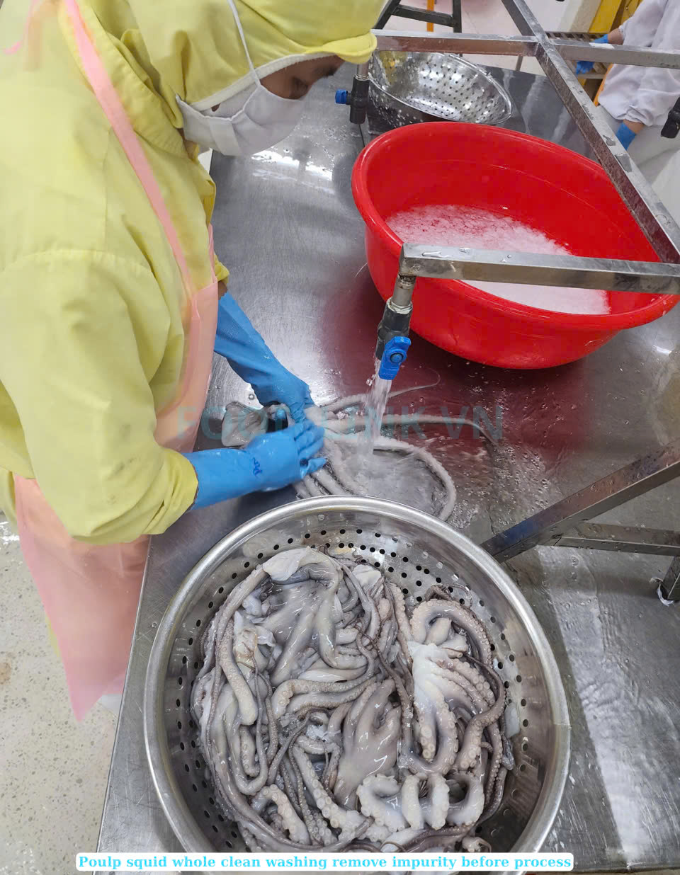 Frozen Whole Clean Octopus (Frozen Whole Clean Poulp Squid)
