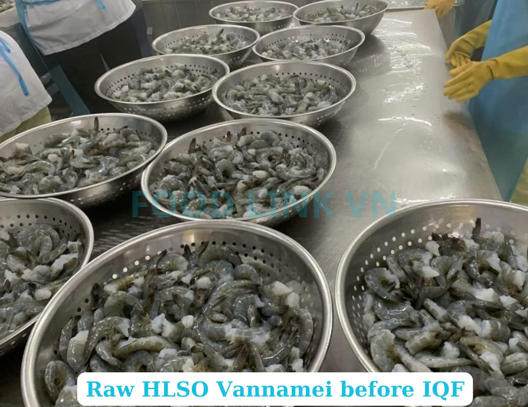 Frozen Raw HLSO Vannamei Shrimp