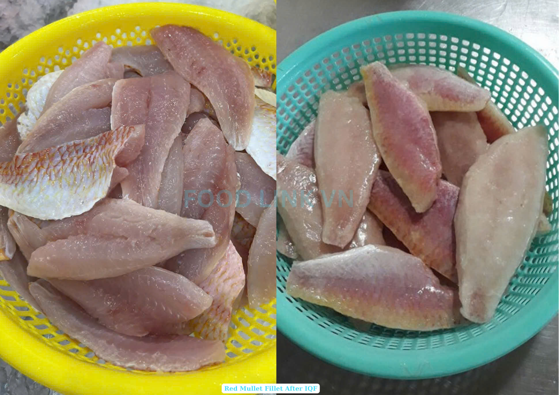 Frozen Red Mullet Fillet