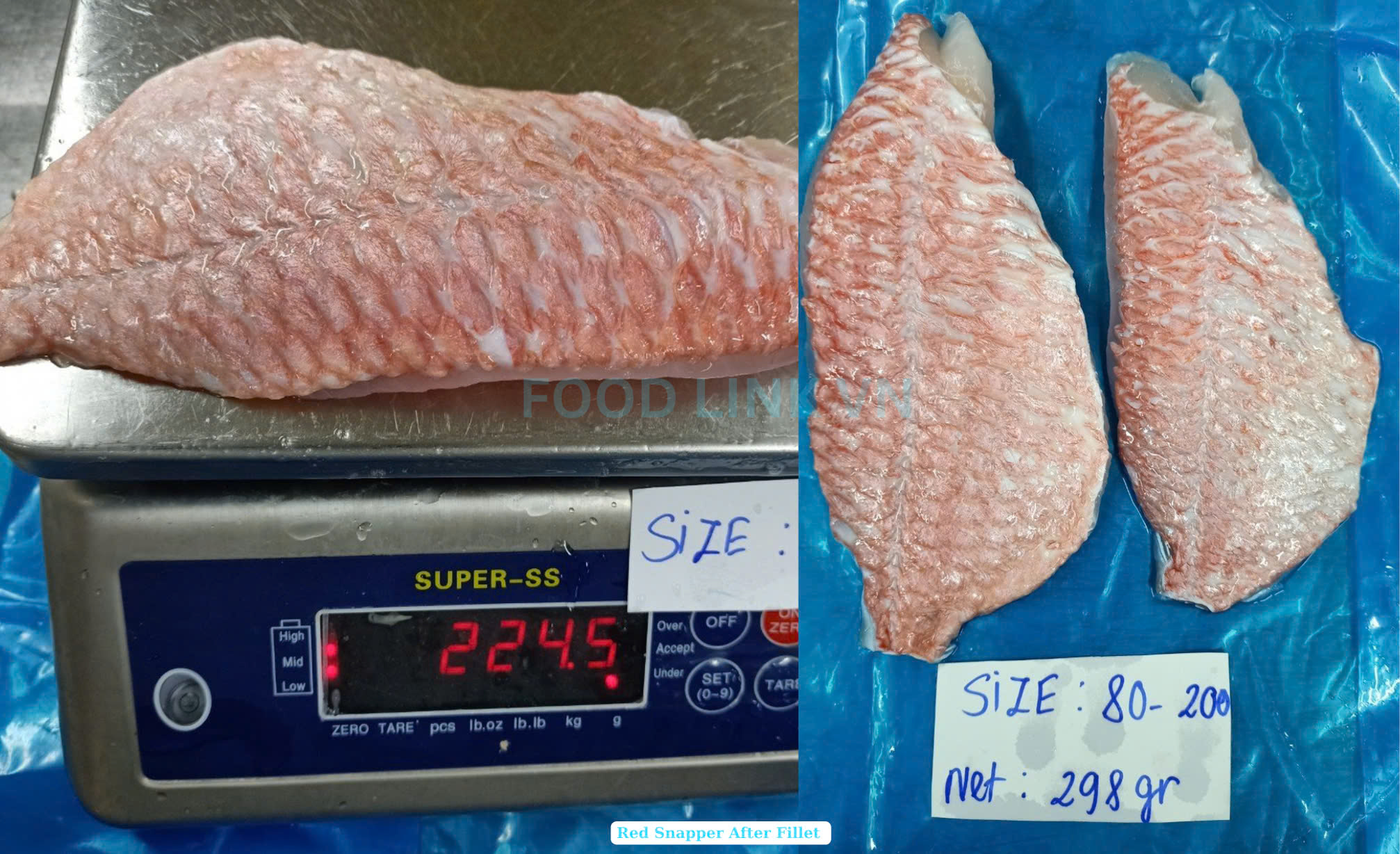 Frozen Red Snapper Fillet