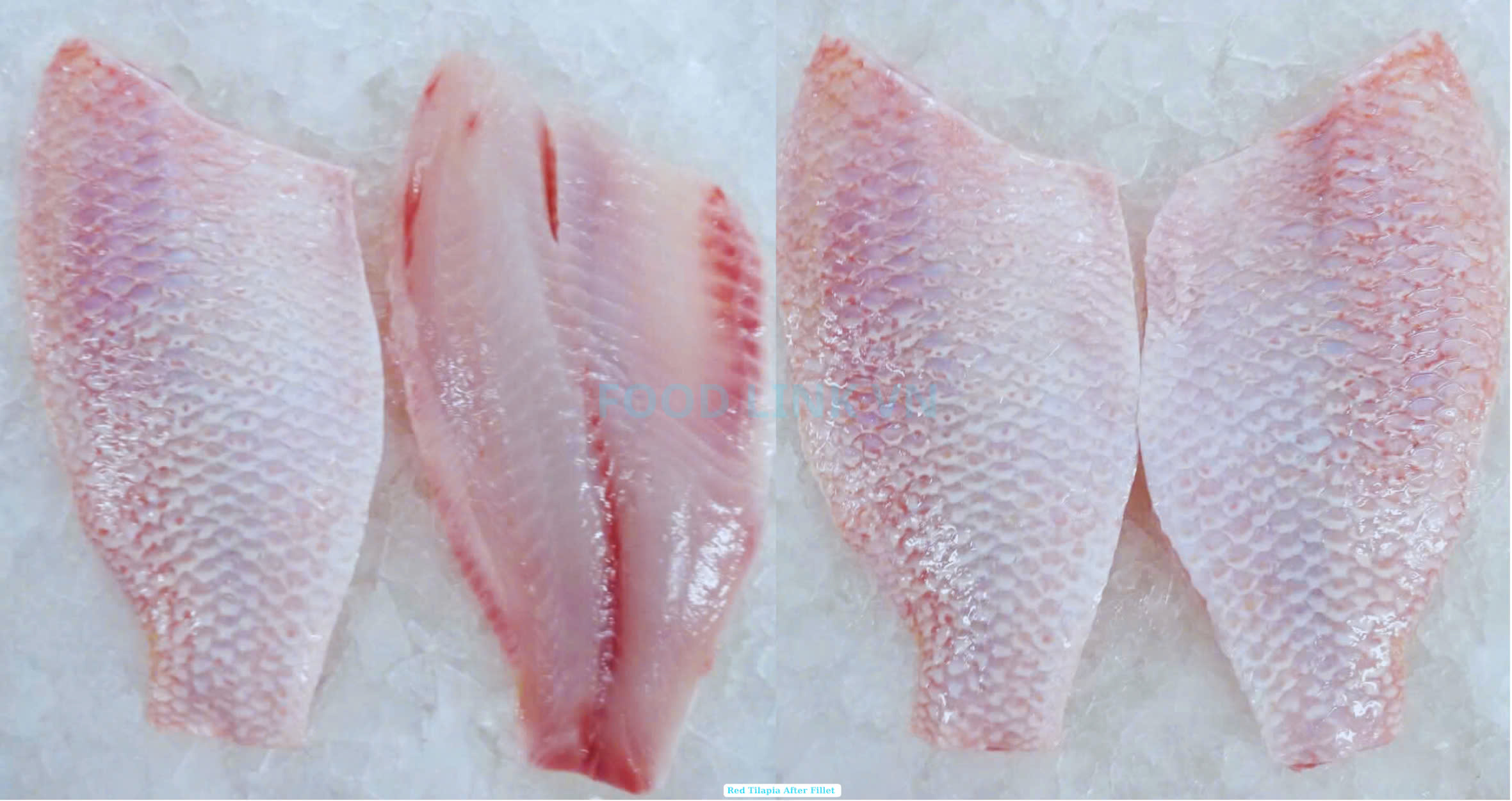 Frozen Red Tilapia Fillet Skin On