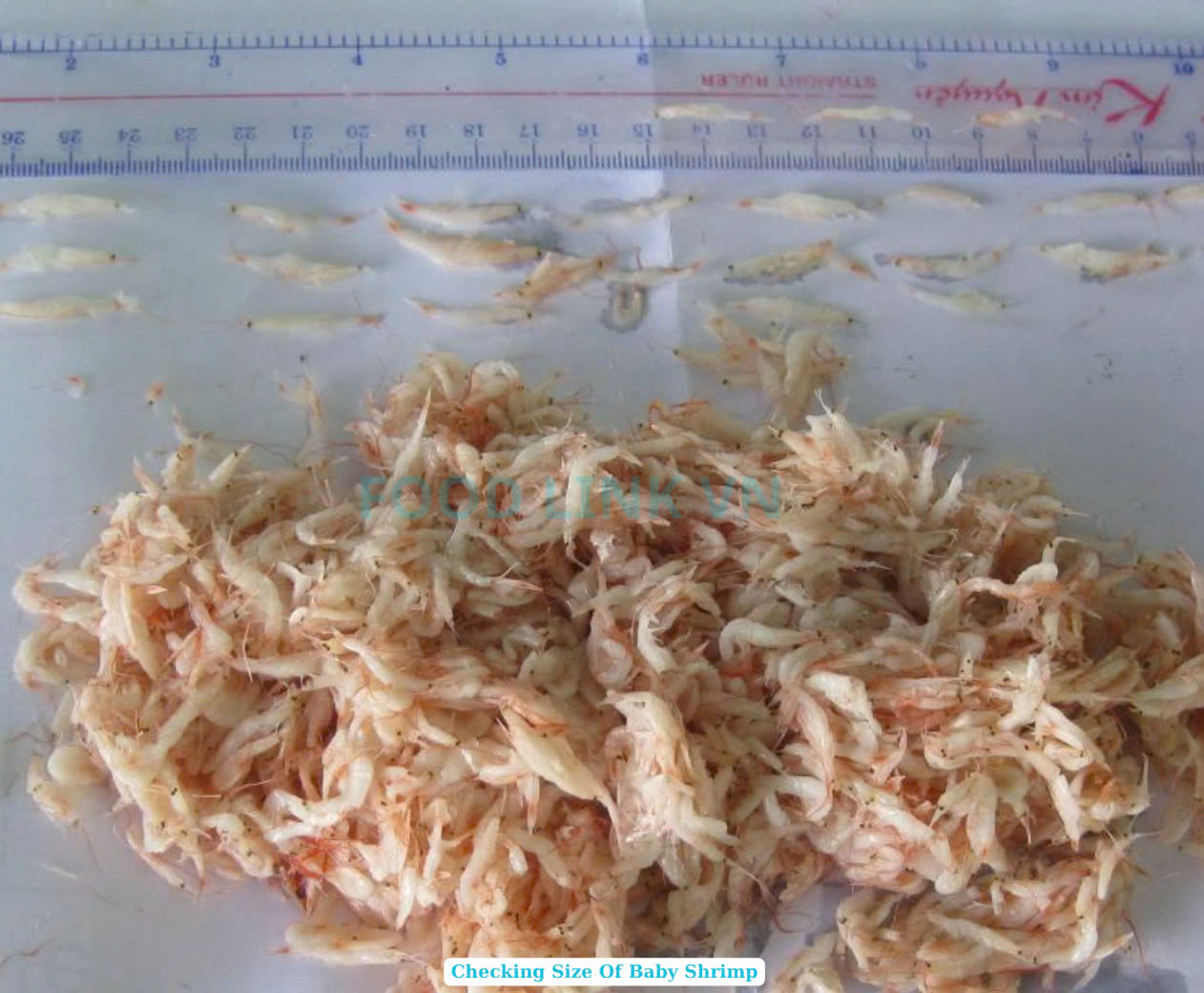Salted Baby Shrimp
