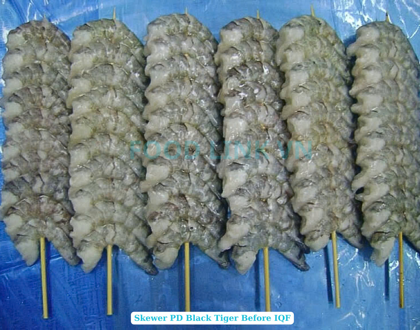 Frozen Raw Pd And Pdto Skewer Black Tiger Shrimp