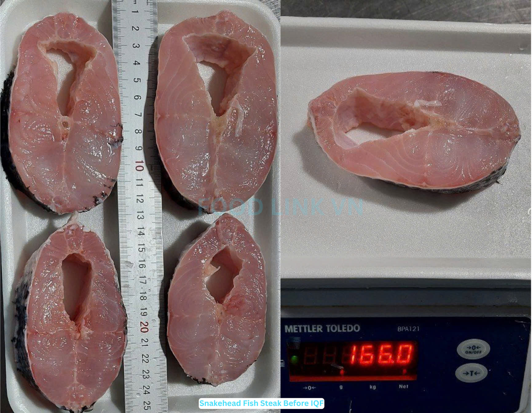 Frozen Snakehead Fish Steak