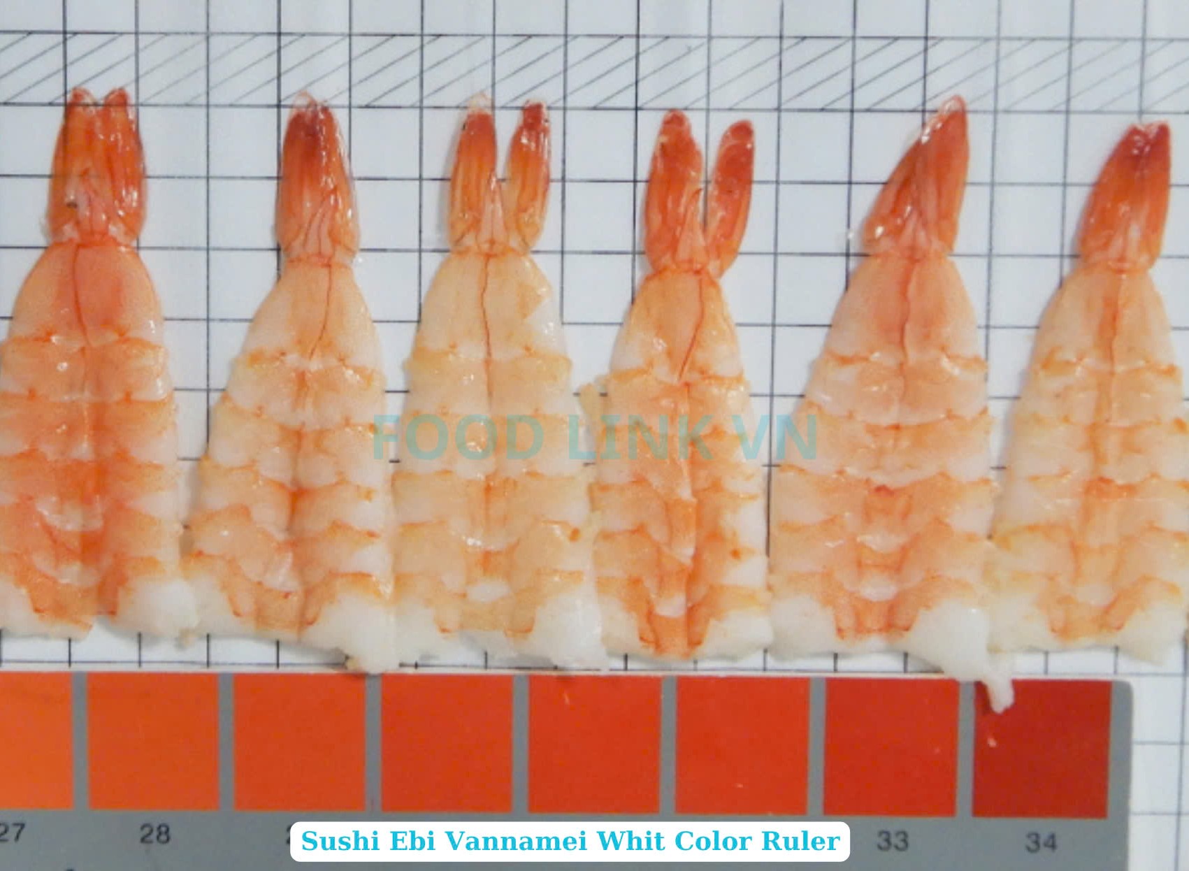 Frozen Sushi Ebi Vannamei Shrimp