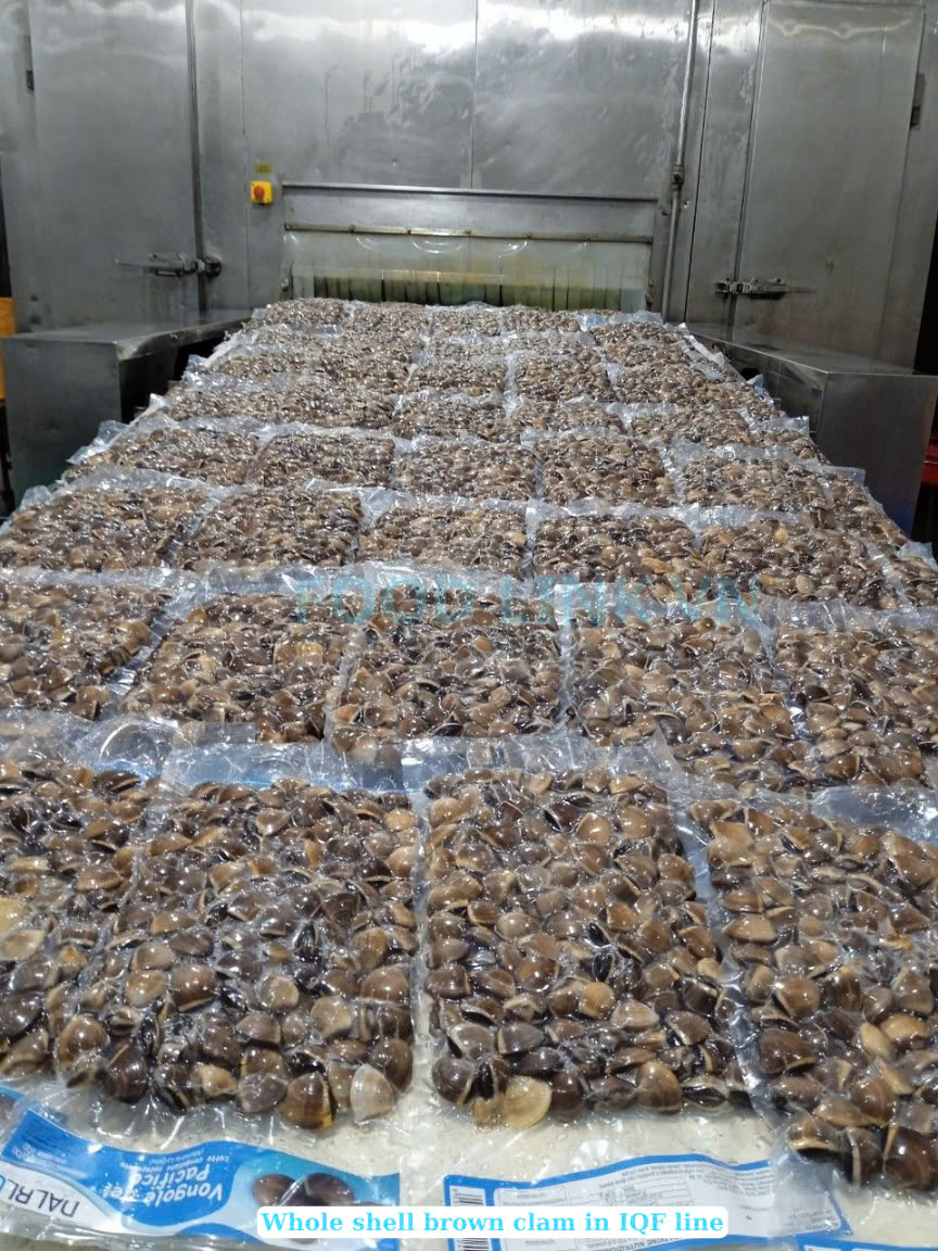 Frozen Cooked Whole Shell Brown Clam