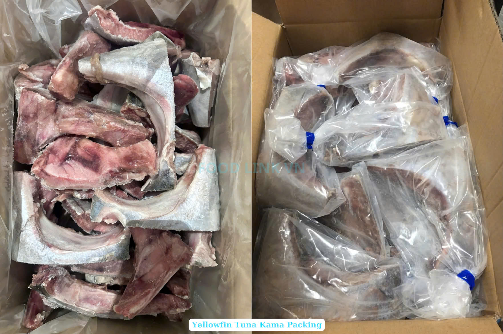 Frozen Yellowfin Tuna Kama, CO/ Non-Co treated