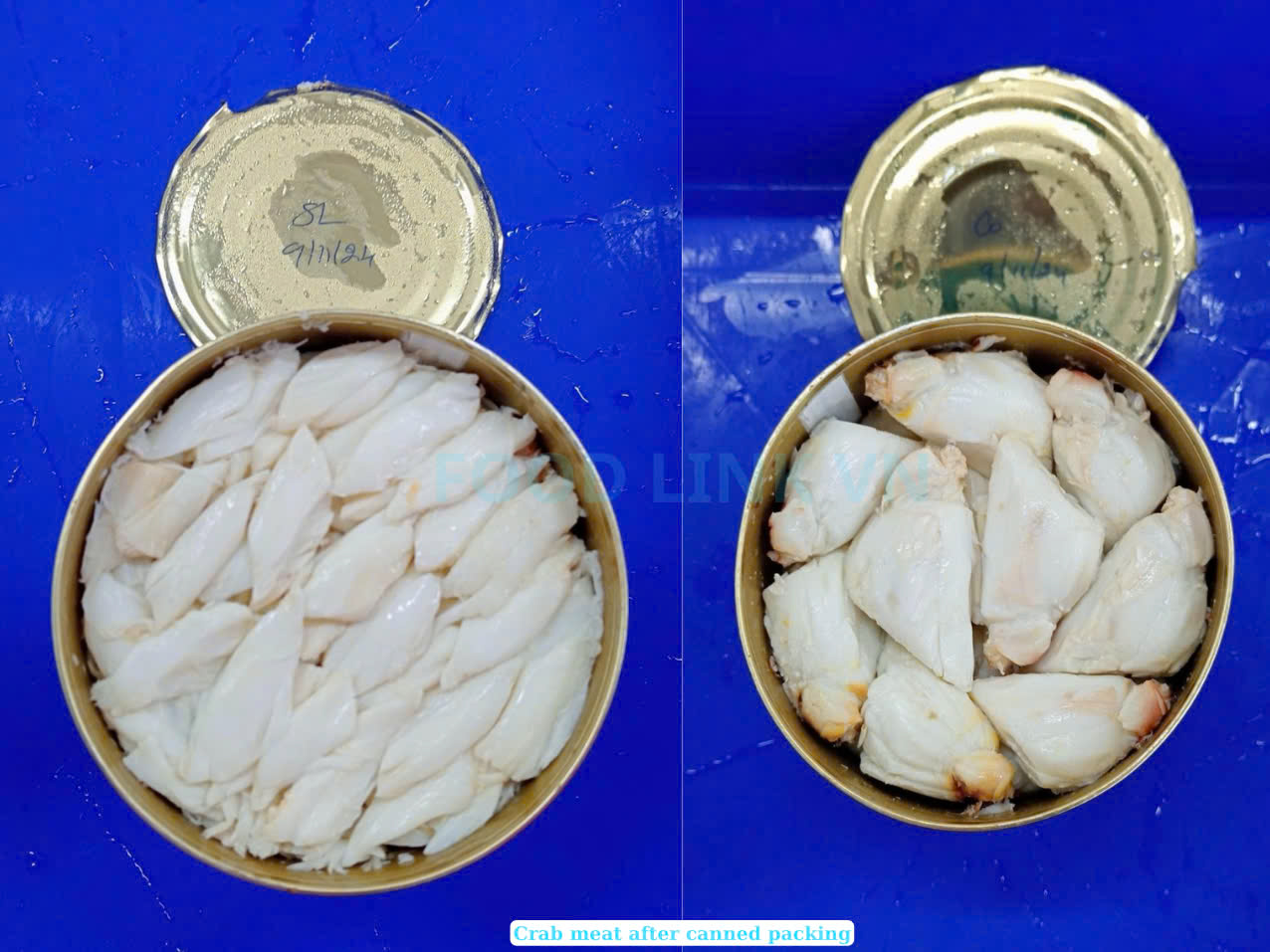 Canned Swimming Crab Meat