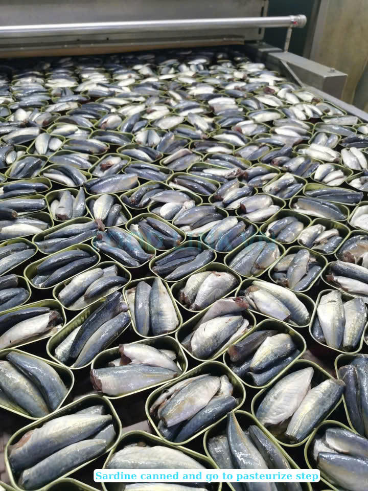 Canned Sardine And Canned Mackerel With Tomato Sauce