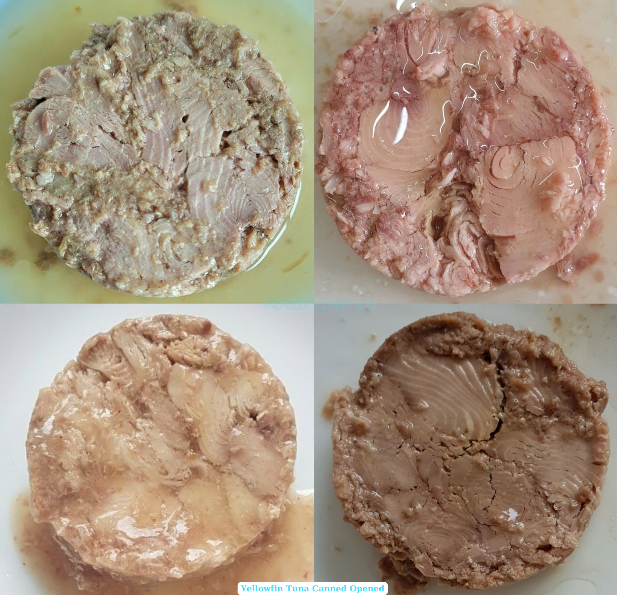 Canned Tuna