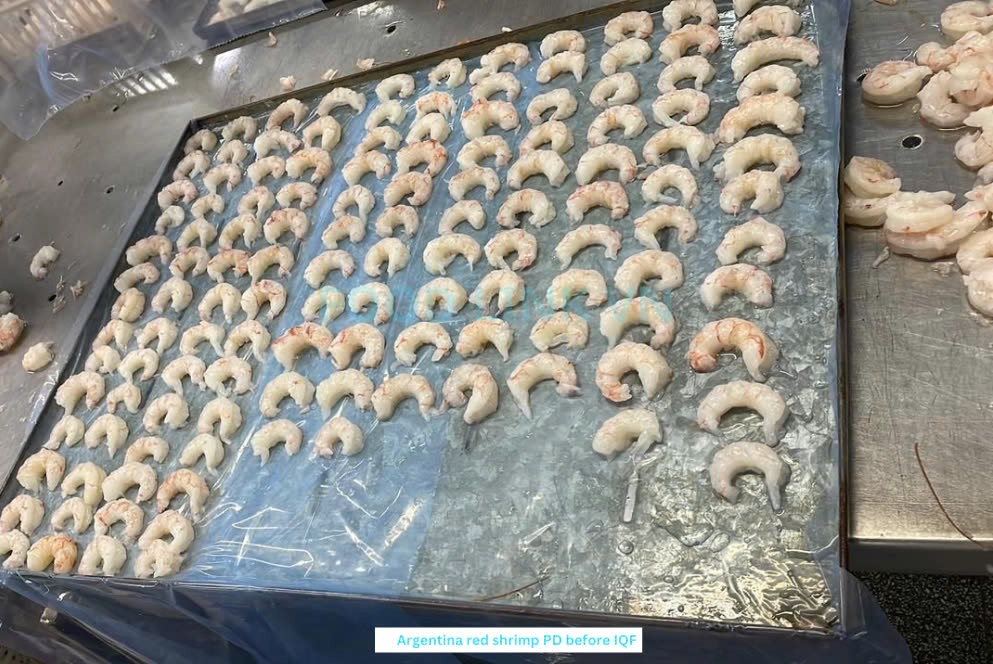 Frozen Argentina Red Shrimp