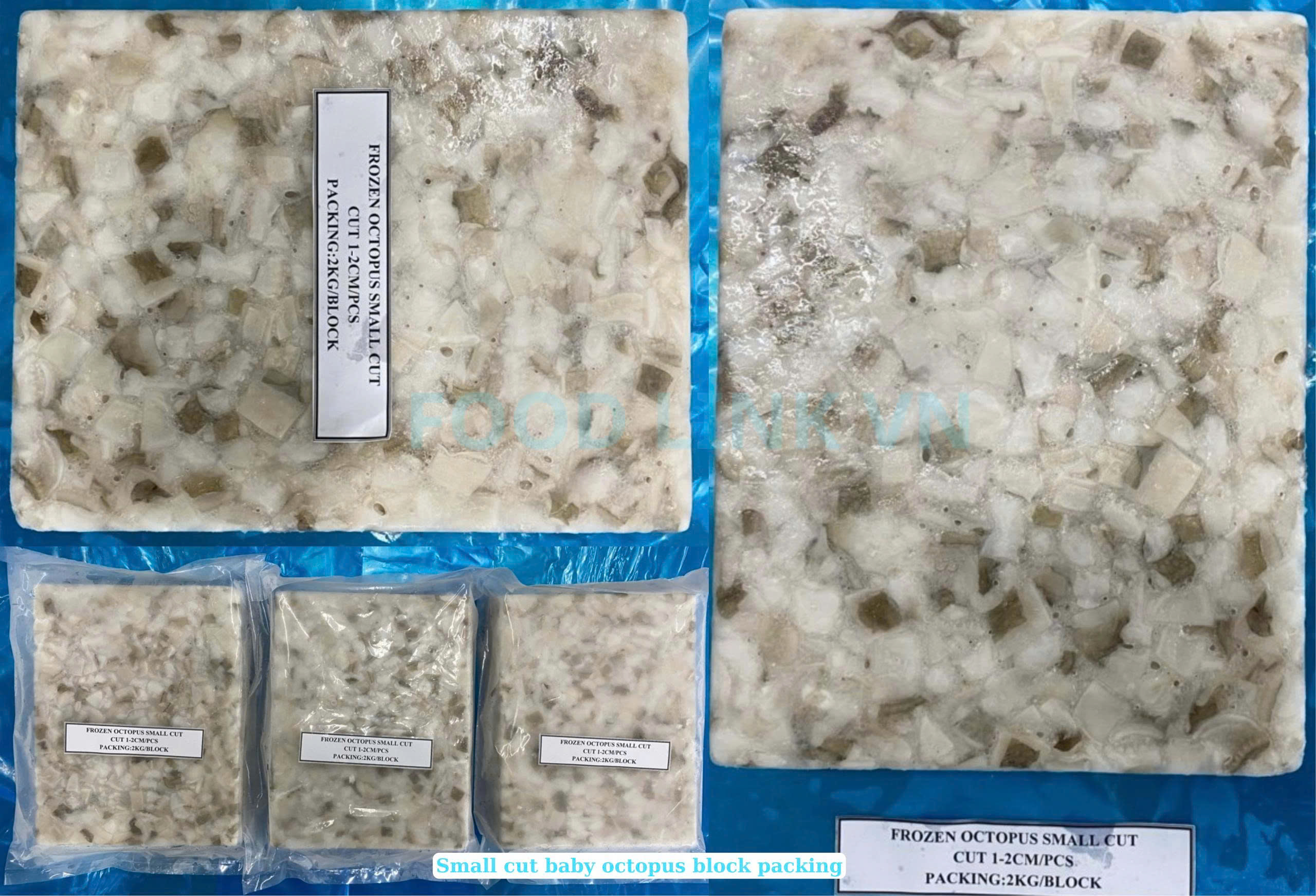 Frozen Small Cut Baby Octopus