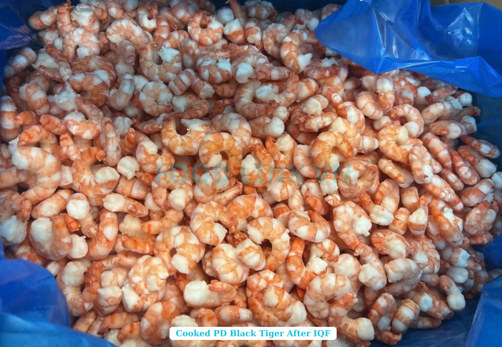 Frozen Cooked Pd Black Tiger Shrimp