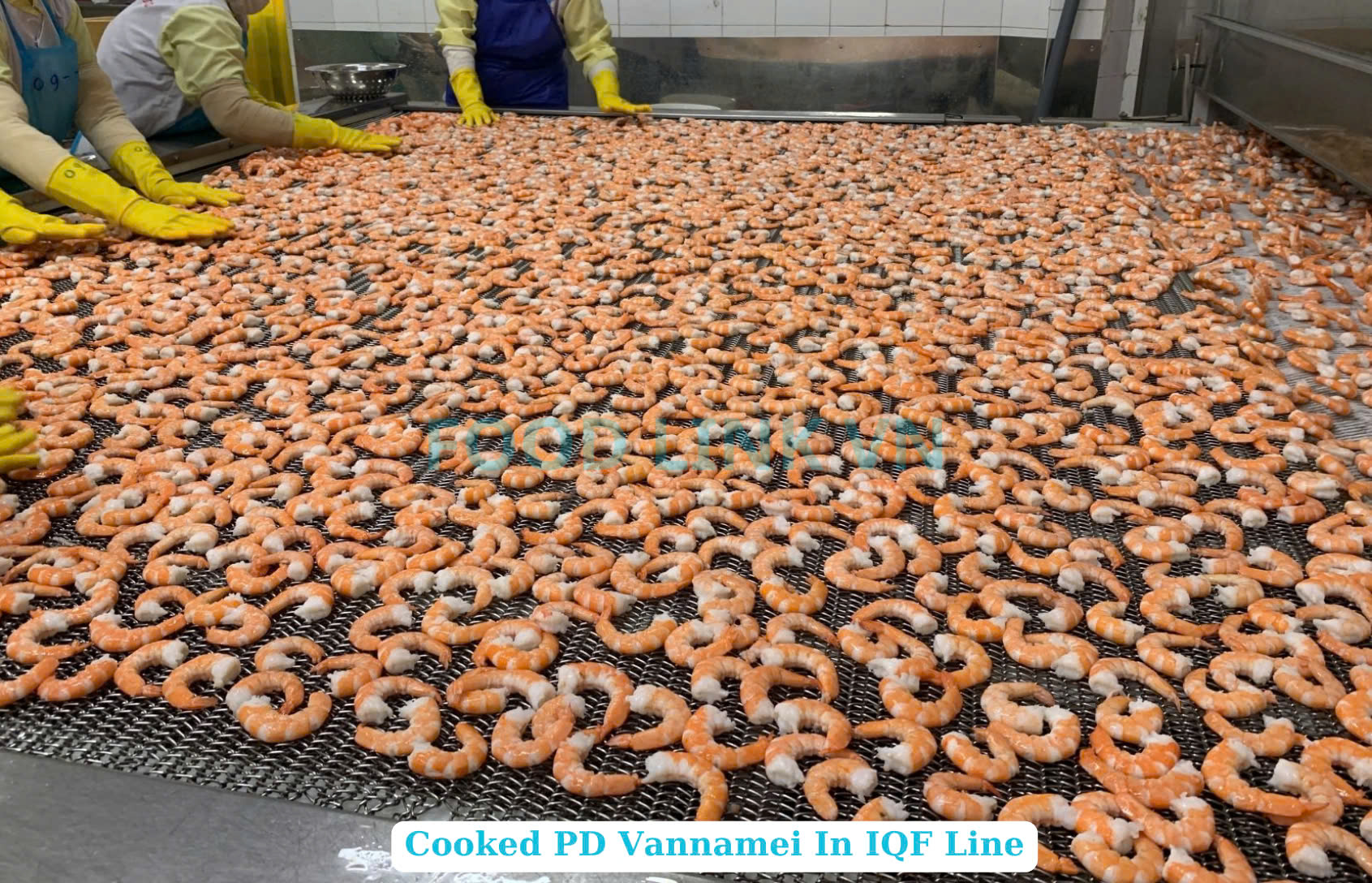 Frozen Cooked PD Vannamei Shrimp