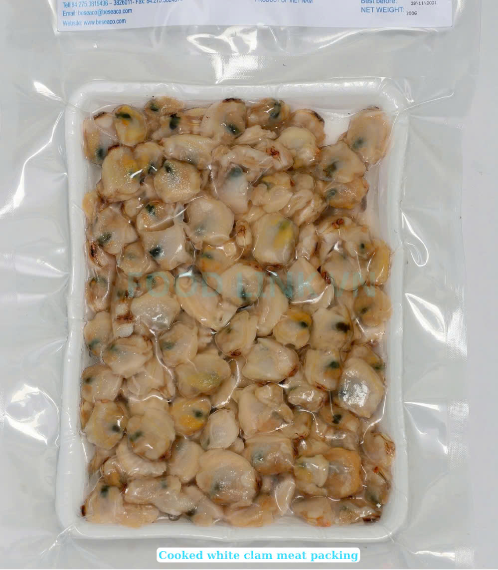 Frozen Cooked White Clam Meat