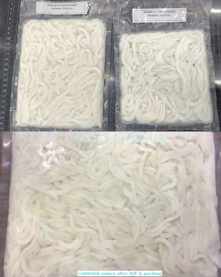 Frozen Cuttlefish Somen