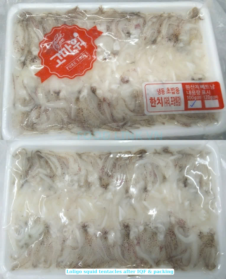 Frozen Loligo Squid Tentacles Sushi