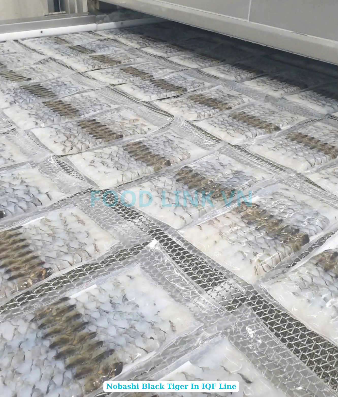 Frozen Nobashi Black Tiger Shrimp