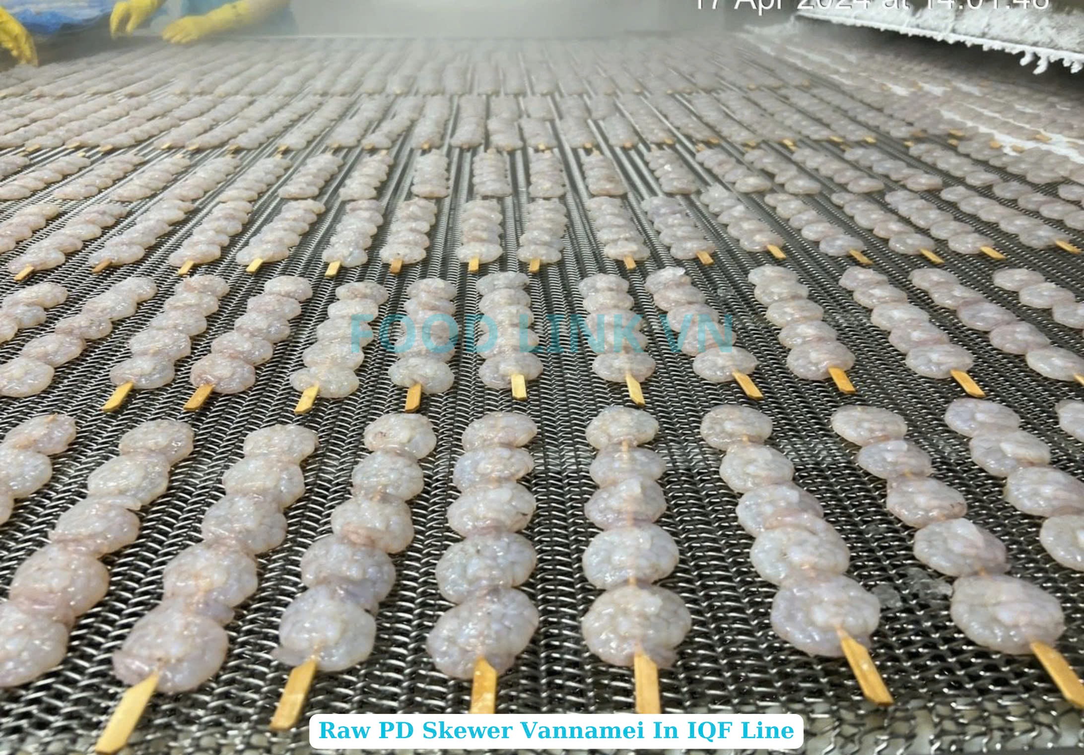 Frozen Raw PD And PDTO Skewer Vannamei Shrimp