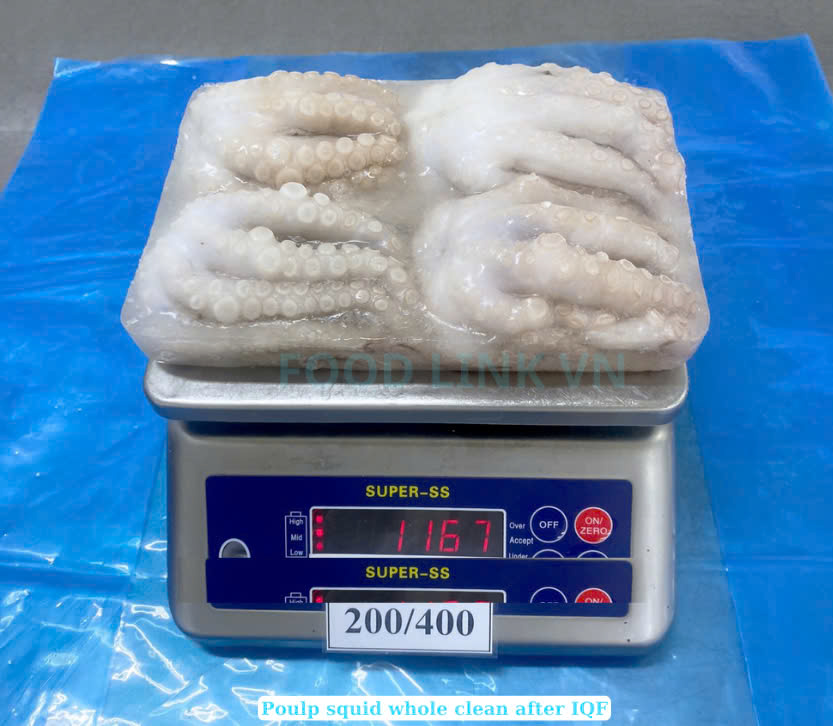 Frozen Whole Clean Octopus (Frozen Whole Clean Poulp Squid)
