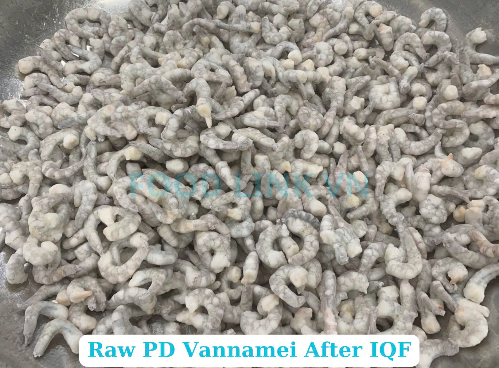 Frozen Raw PD Vannamei Shrimp