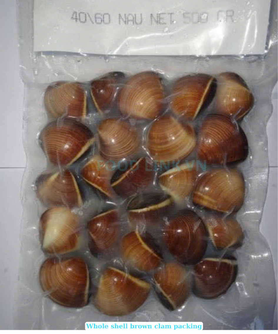Frozen Cooked Whole Shell Brown Clam