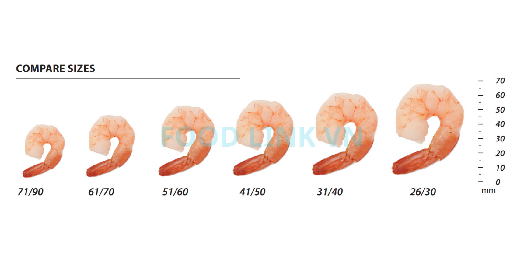 Frozen Cooked PDTO Vannamei Shrimp