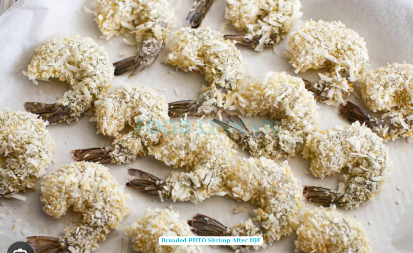 Frozen Breaded Butterfly And PDTO Shrimp
