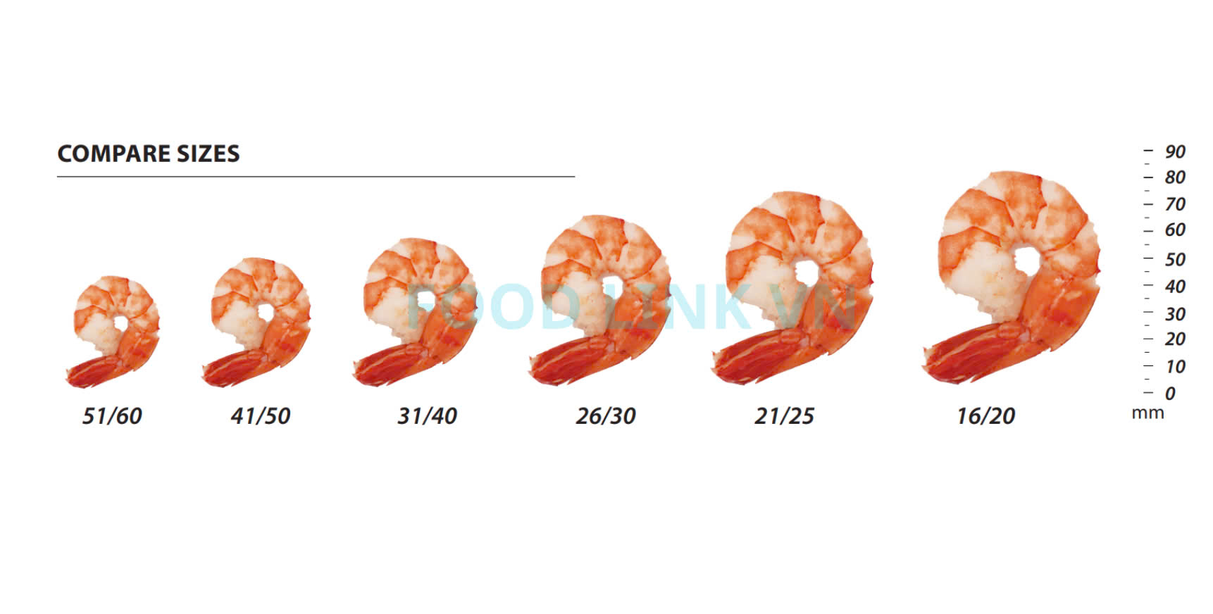 Frozen Cooked Pdto Black Tiger Shrimp
