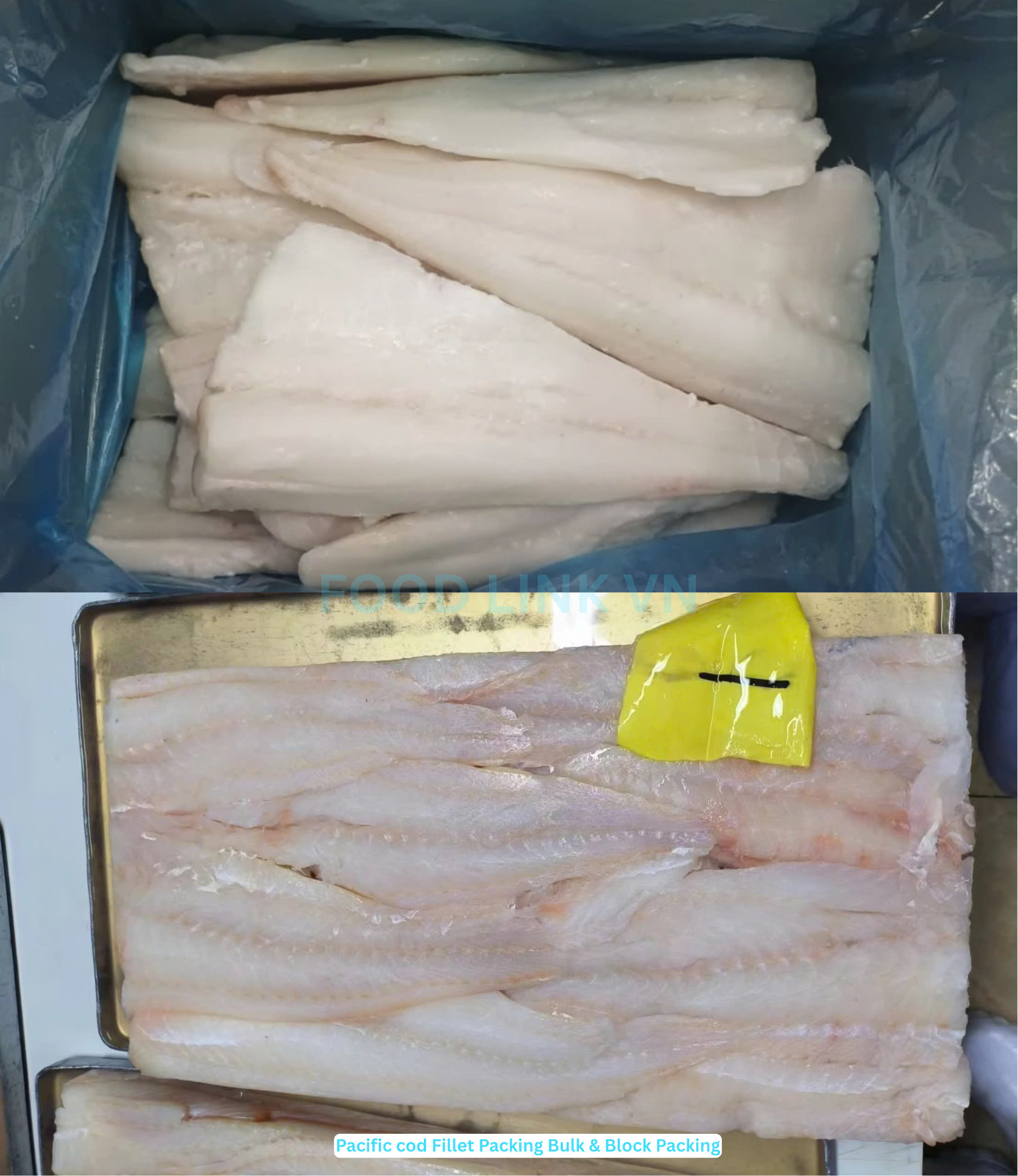 Frozen Atlantic And Pacific Cod