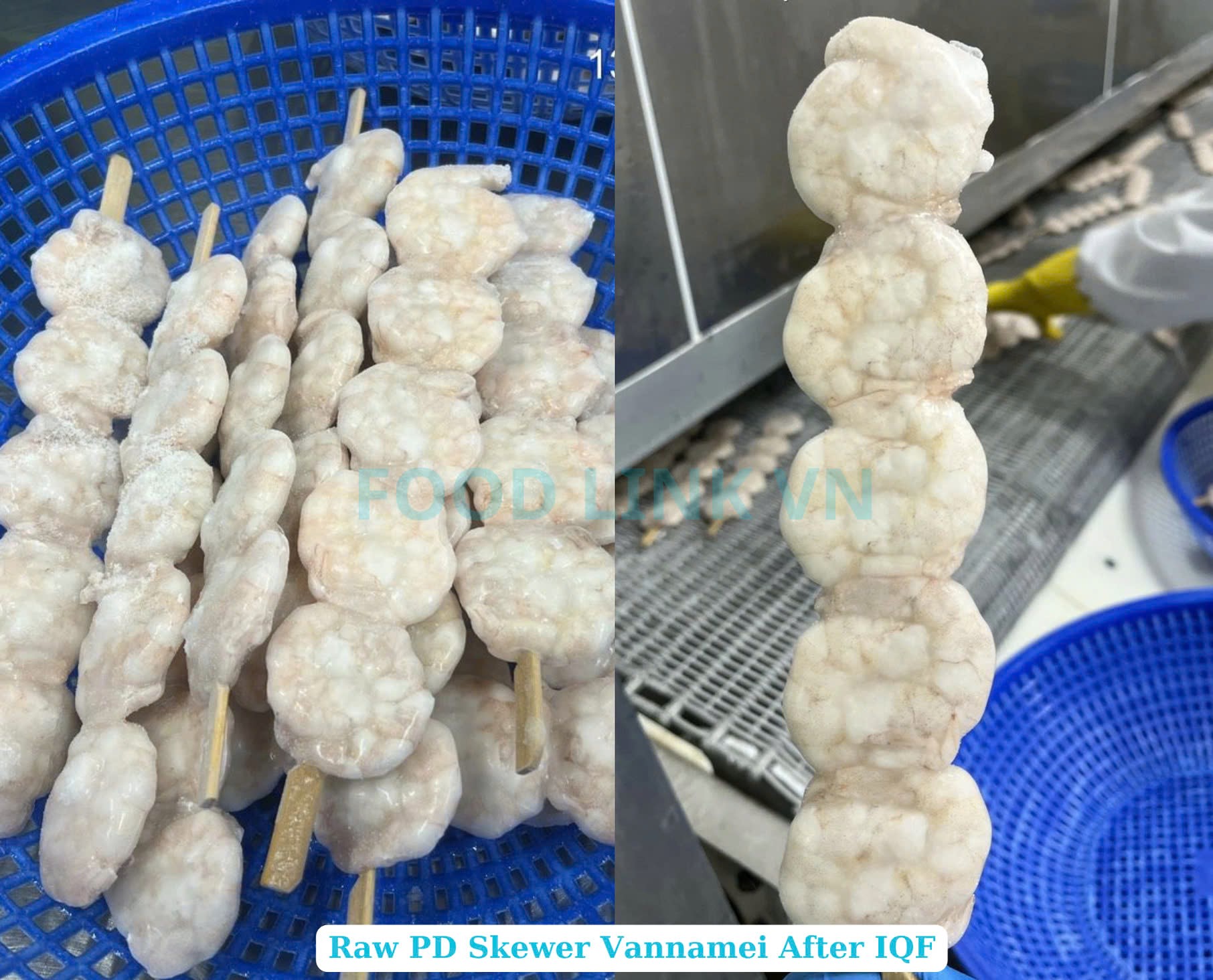 Frozen Raw PD And PDTO Skewer Vannamei Shrimp