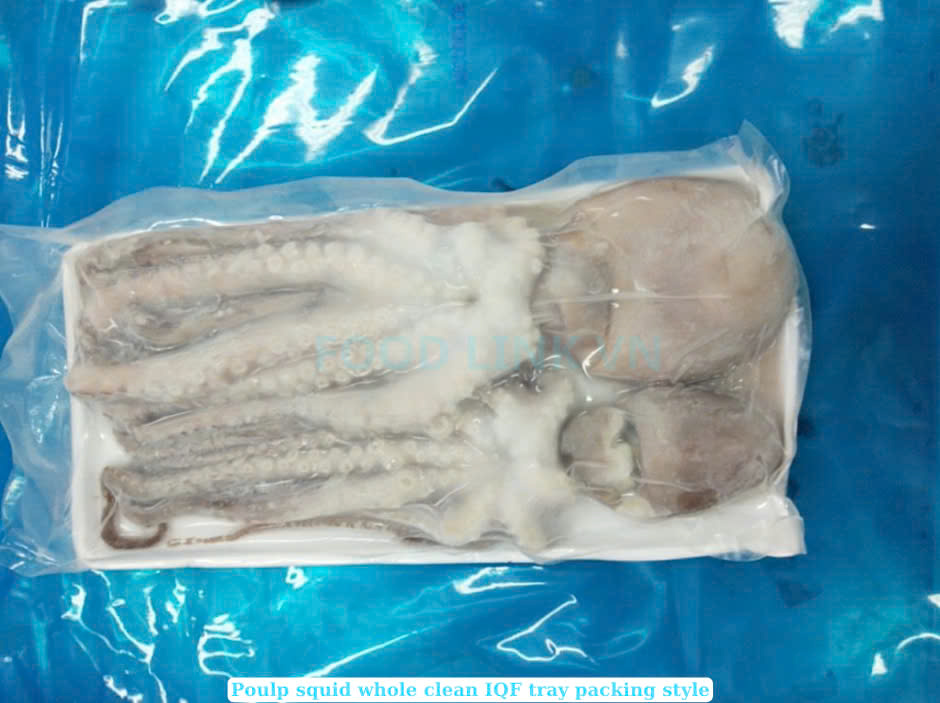 Frozen Whole Clean Octopus (Frozen Whole Clean Poulp Squid)
