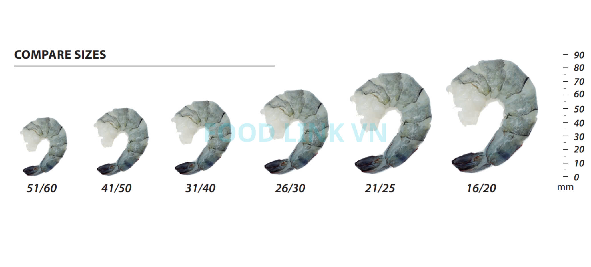 Frozen Raw Pd Black Tiger Shrimp