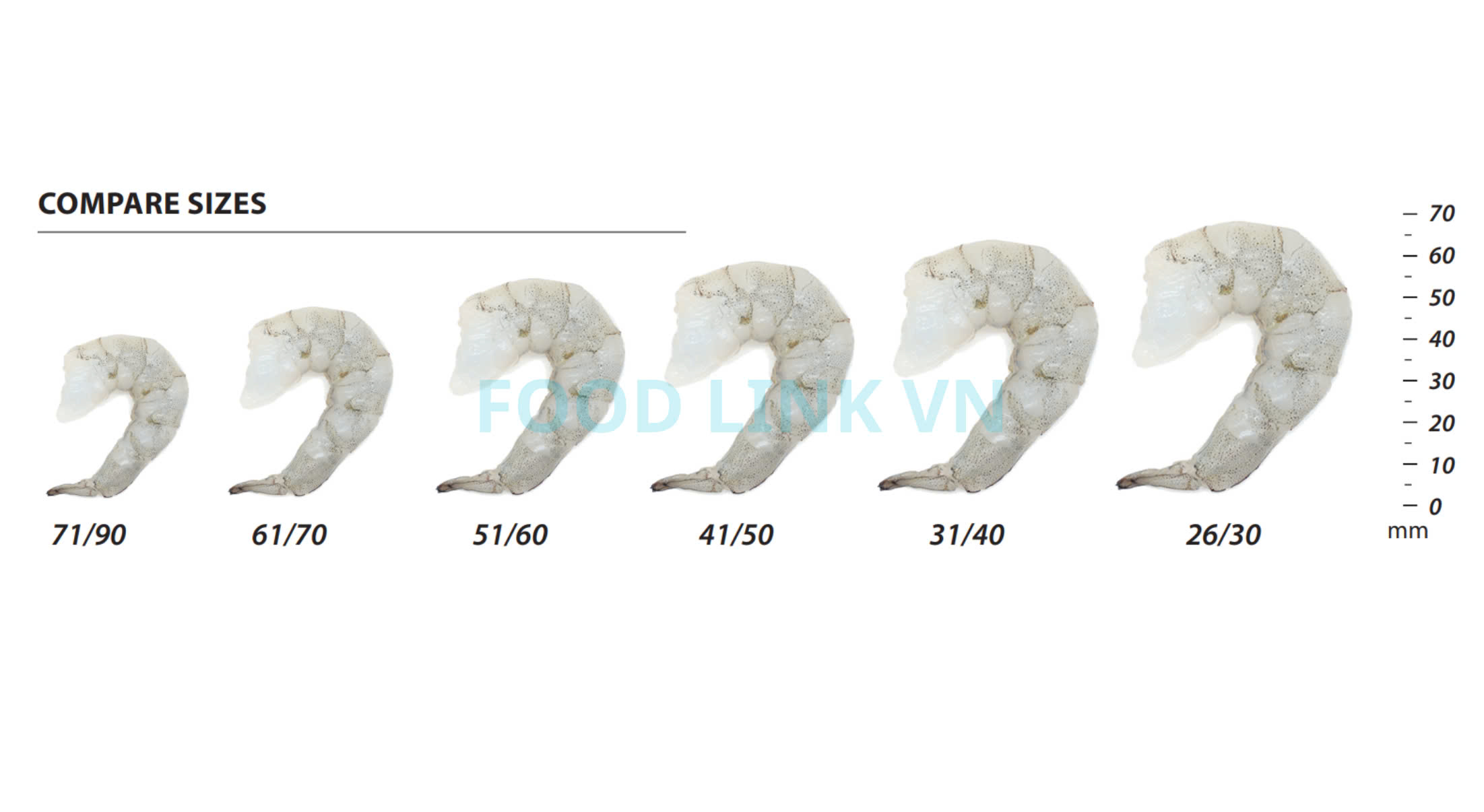 Frozen Raw PD Vannamei Shrimp