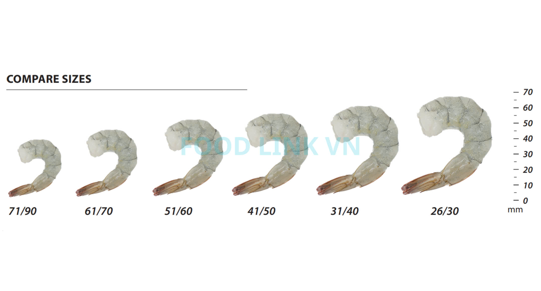 Frozen Raw PDTO Vannamei Shrimp
