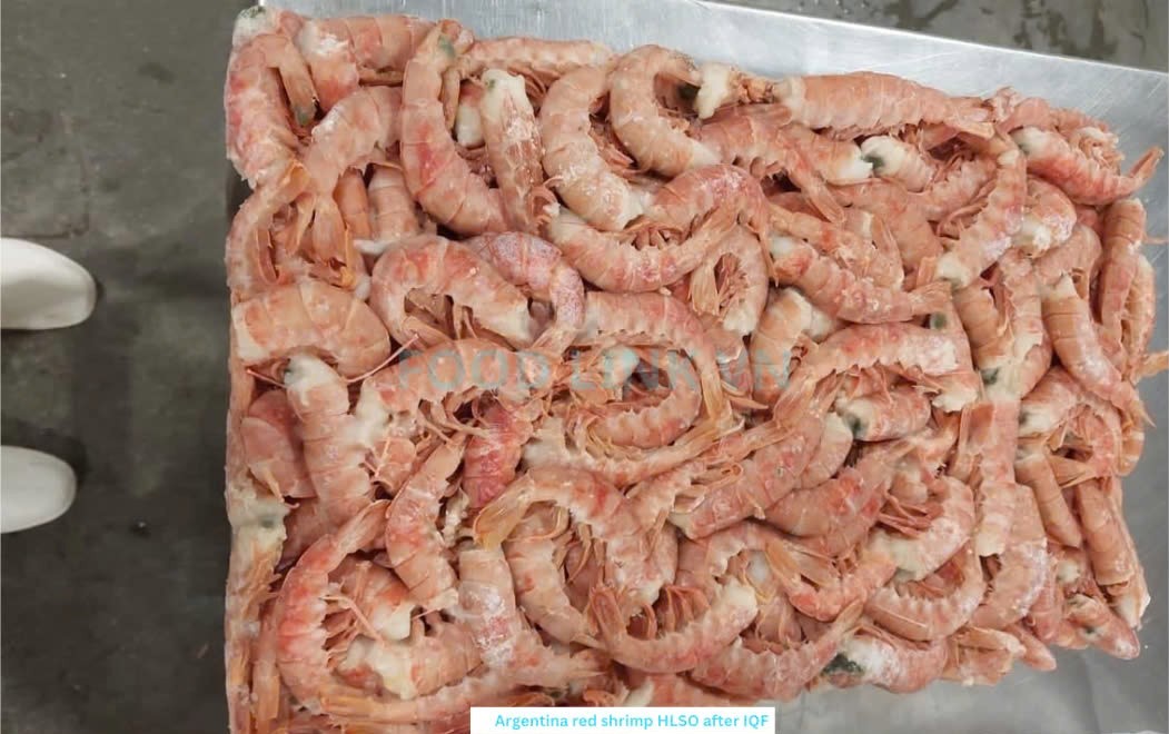 Frozen Argentina Red Shrimp