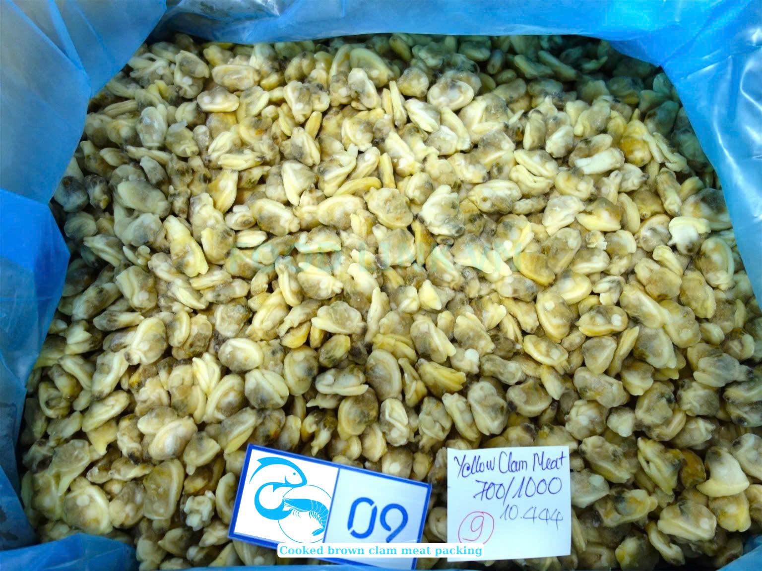 Frozen Cooked Yellow Clam Meat