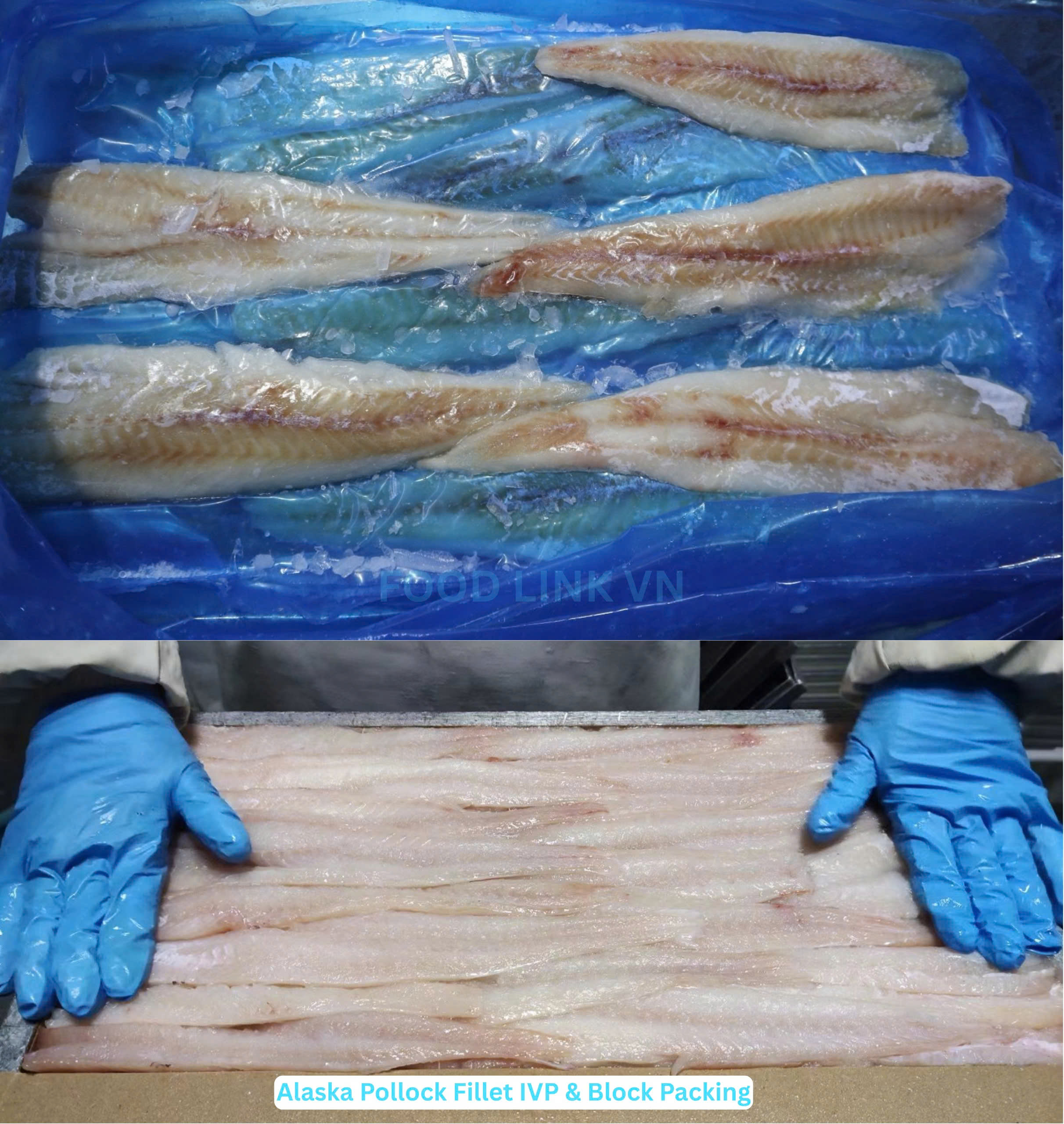 Frozen Alaska Pollock