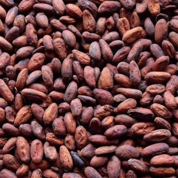 Cocoa