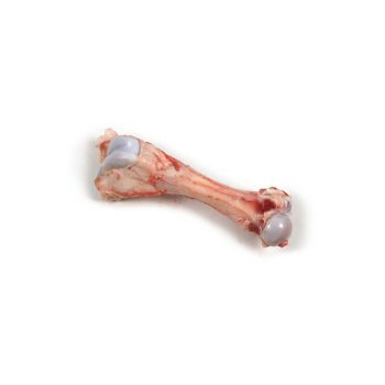 Frozen Pork Femur Bone