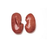 Wholesale Frozen Pork Heart