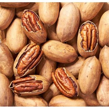 Ogbono Nuts