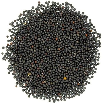 Rapeseed