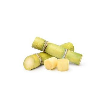 Cane Sugar