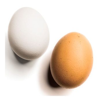 Fresh White and Brown Eggs